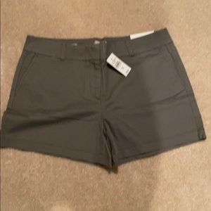 Loft shorts